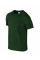 Forest Green Softstyle Adult T-Shirt