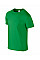 Irish Green Softstyle Adult T-Shirt