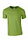 Kiwi Softstyle Adult T-Shirt