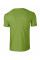 Kiwi Softstyle Adult T-Shirt