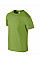 Kiwi Softstyle Adult T-Shirt