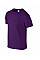 Purple Softstyle Adult T-Shirt