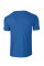 Royal Softstyle Adult T-Shirt