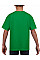 Irish Green Softstyle® Youth T-Shirt