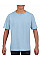 Light Blue Softstyle® Youth T-Shirt