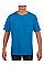 Sapphire Softstyle® Youth T-Shirt