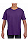 Purple Softstyle® Youth T-Shirt