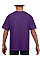 Purple Softstyle® Youth T-Shirt