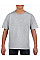 Sport Grey (RS) Softstyle® Youth T-Shirt