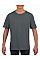 Charcoal Softstyle® Youth T-Shirt