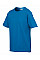 Sapphire Softstyle® Youth T-Shirt