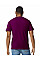 Maroon Softstyle Midweight Adult T-Shirt