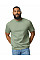 Sage Softstyle Midweight Adult T-Shirt