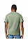 Sage Softstyle Midweight Adult T-Shirt