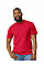 Red Softstyle Midweight Adult T-Shirt