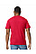 Red Softstyle Midweight Adult T-Shirt