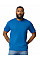 Royal Softstyle Midweight Adult T-Shirt