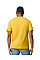 Daisy Softstyle Midweight Adult T-Shirt