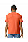 Orange Softstyle Midweight Adult T-Shirt