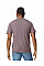 Paragon Softstyle Midweight Adult T-Shirt