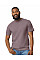 Paragon Softstyle Midweight Adult T-Shirt