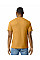 Mustard Softstyle Midweight Adult T-Shirt