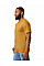 Mustard Softstyle Midweight Adult T-Shirt