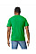 Irish Green Softstyle Midweight Adult T-Shirt