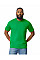 Irish Green Softstyle Midweight Adult T-Shirt