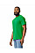 Irish Green Softstyle Midweight Adult T-Shirt