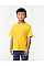 Daisy Softstyle Midweight Youth T-Shirt