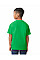 Irish Green Softstyle Midweight Youth T-Shirt