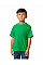 Irish Green Softstyle Midweight Youth T-Shirt