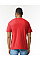 Red Mist Softstyle CVC Adult T-Shirt