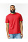 Red Mist Softstyle CVC Adult T-Shirt