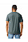 Kelly Mist Softstyle CVC Adult T-Shirt