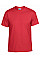 Red DryBlend® Adult T-Shirt