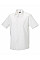 White Men's Short Sleeve Fitted Stretch Shirt