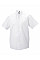 White Men's Short Sleeve Classic Ultimate Non-Iron Shirt