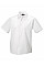 White Men's Short Sleeve Tailored Ultimate Non-Iron Shirt