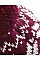 Burgundy/White Fair Isle Snowstar® Beanie