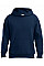 Sport Dark Navy Adult Hooded Sweatshirt