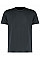 Graphite Regular Fit Cooltex® Plus Micro Mesh Tee