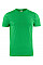 Fresh Green Heavy RSX T-Shirt