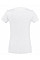 White Ladies' V-Neck T