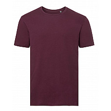 Burgundy Men's T