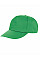 Apple Green Houston 5-Panel Printers Cap