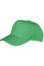 Apple Green Boston 5-Panel Printers Cap