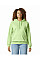 Pistachio Softstyle Midweight Fleece Adult Hoodie