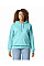 Sky Blue Softstyle Midweight Fleece Adult Hoodie